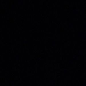 Meet your Posher, Trayonna